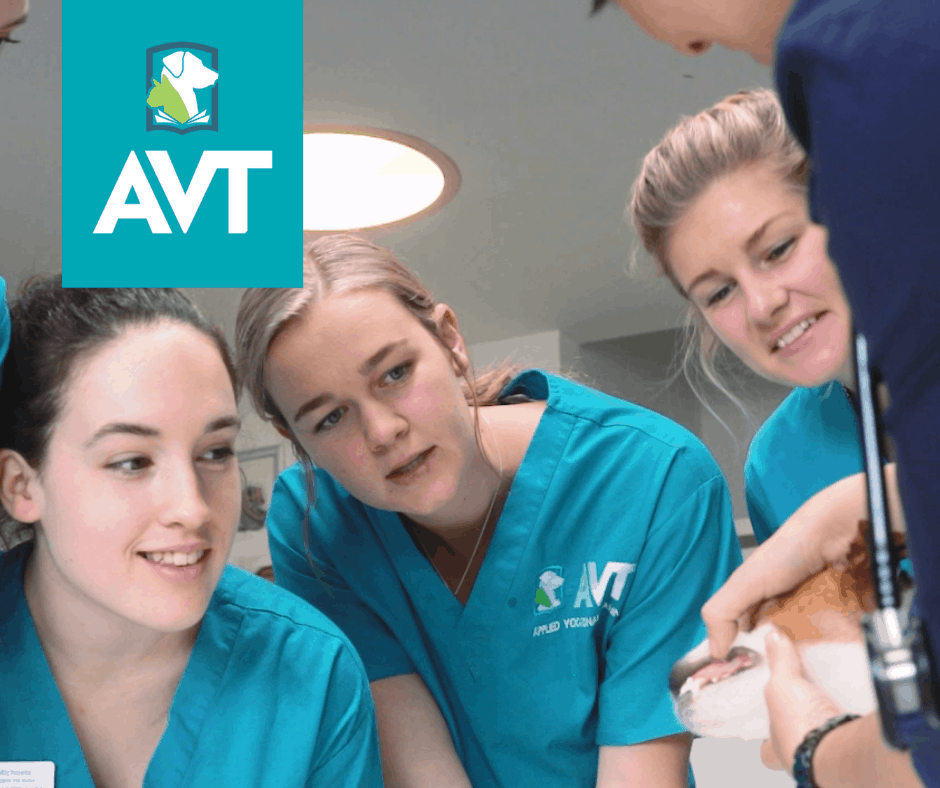 ACM40418 Certificate IV in Vet Nursing Course Online & Oncampus Perth