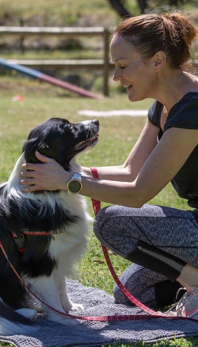 Perth Dog Behaviour consultant course