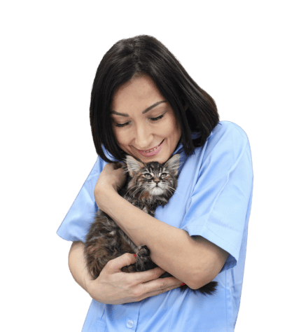 Mental health and wellbeing support for animal care and veterinary professionals