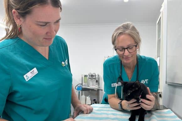 what course do I need to be a vet nurse in australia