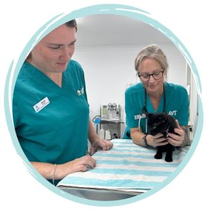 what to study to become a vet nurse in Australia