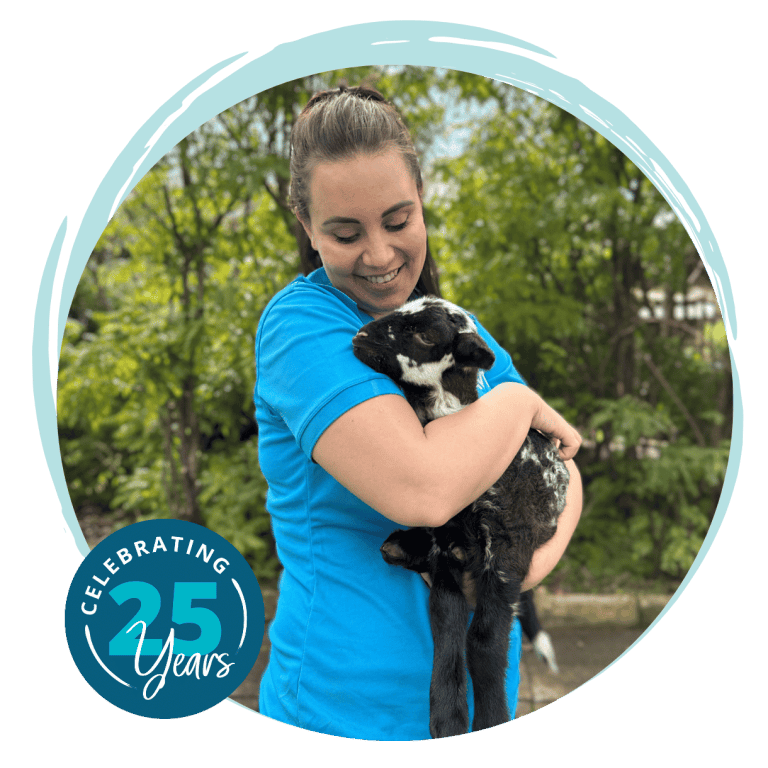 Animal Care Studies, Veterinary Nursing, Perth WA