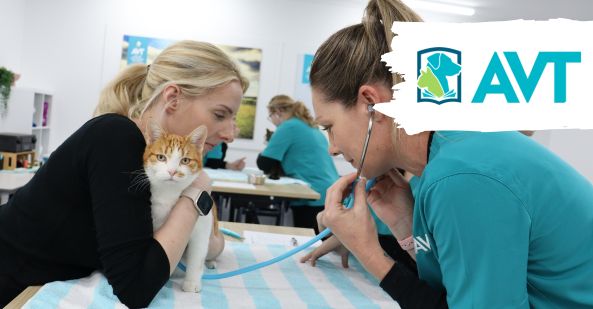 qual overview avt acm20121 animal care vet nurse pathway v2