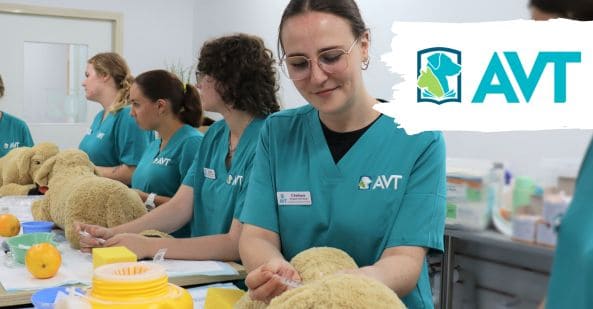 qual overview avt acm40418 veterinary nursing v2