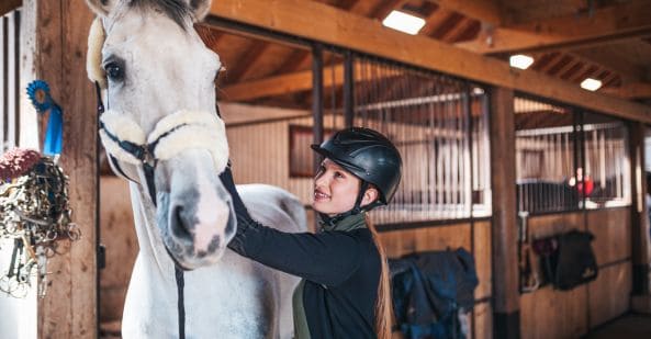 short course overview avt horse care fundamentals