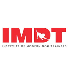 Logo_IMDT_sq